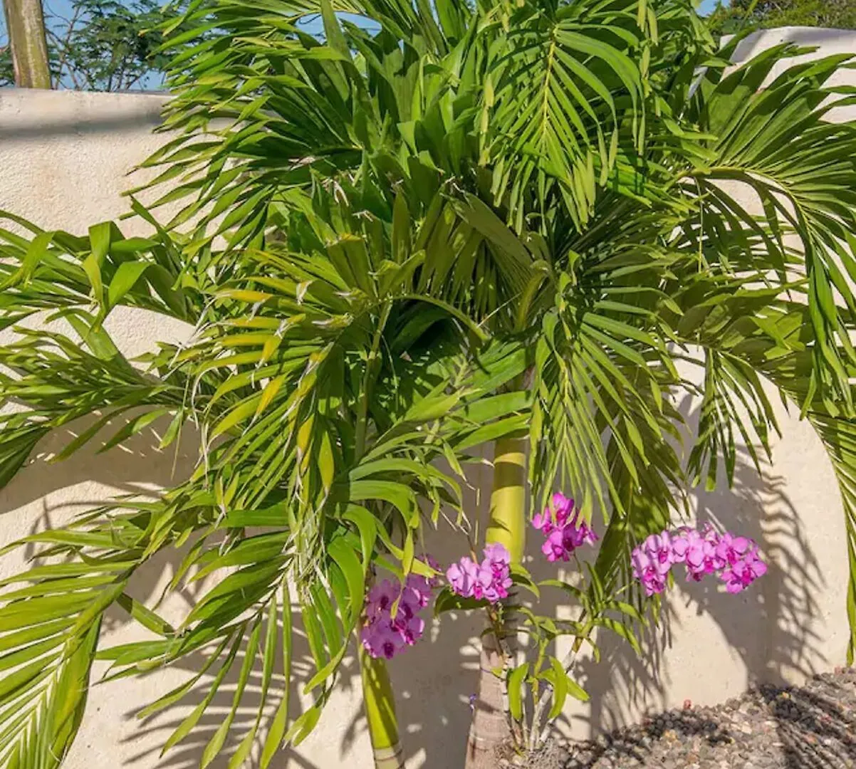 Hotel Nianna Coral Bay Luxurious Townhouse- 3 Montego Bay